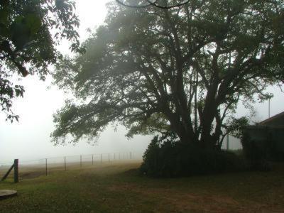 Hillview Cottages Kingaroy Eksteriør bilde