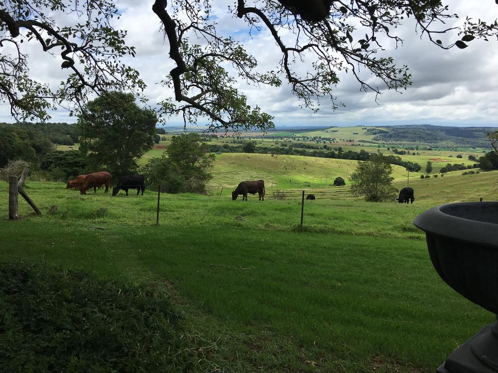 Hillview Cottages Kingaroy Eksteriør bilde