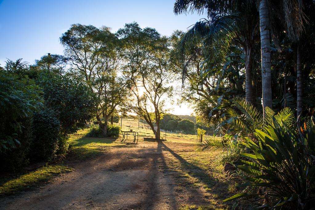 Hillview Cottages Kingaroy Eksteriør bilde