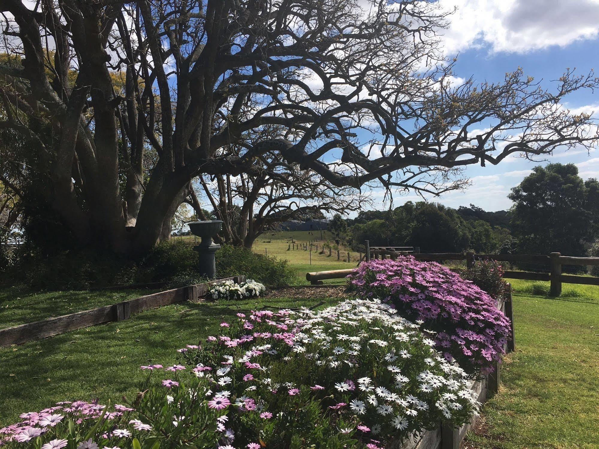 Hillview Cottages Kingaroy Eksteriør bilde